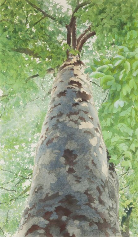 Ben Norris, ‘Tree II’, 1989