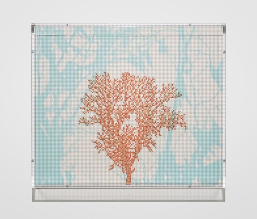 Numbers and Trees: Charleston Series 2, Tree #1, Fortune Lane