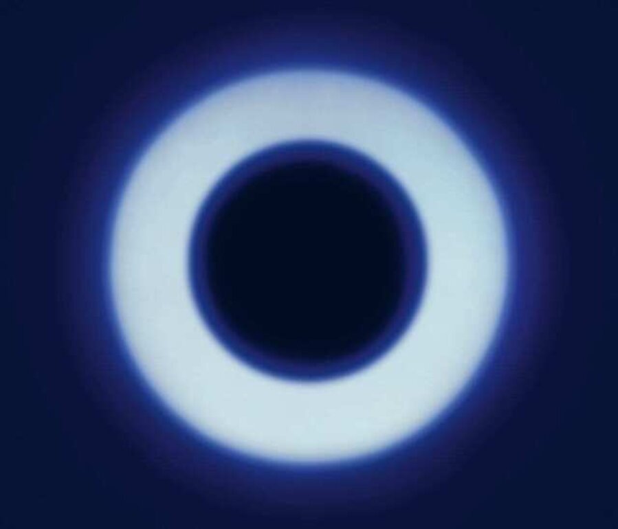 Gaze I