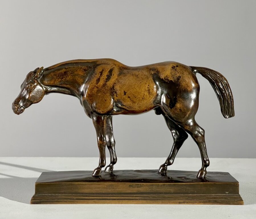 Half Blood Horse, Head Lowered