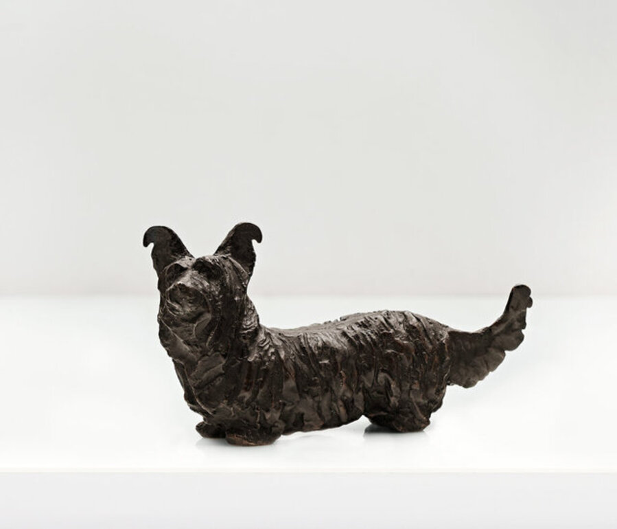 Skye-Terrier