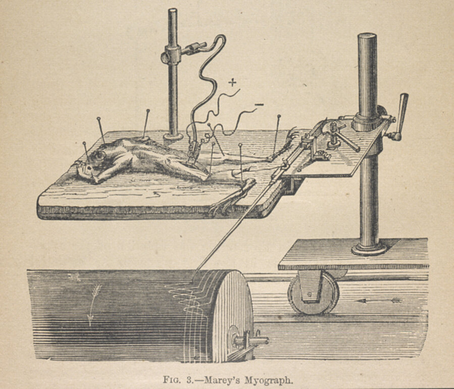 Fig. 3: Marey's myograph