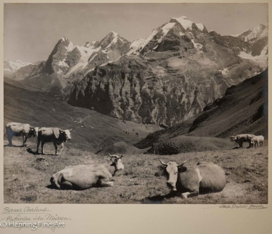 ”Berner Oberland. Alpfrieden uber Murren -Eiger-Monch-Jungfrau.-” ("Bernese Oberland. Alpfrieden about Murren -Eiger-Monch-Jungfrau.- ")
