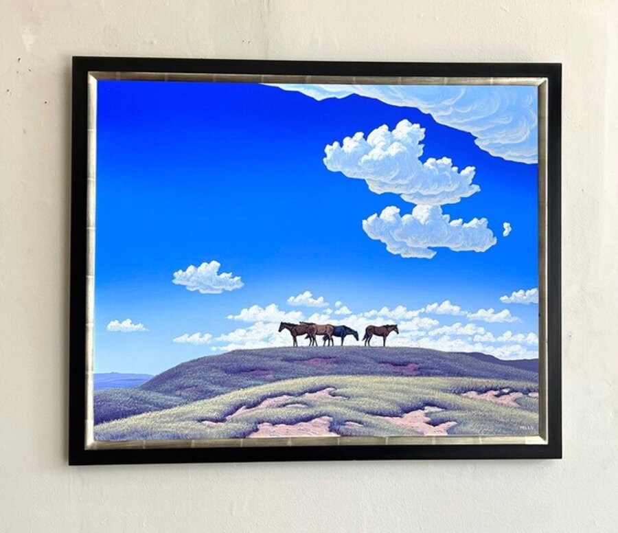 Mustangs Chase County