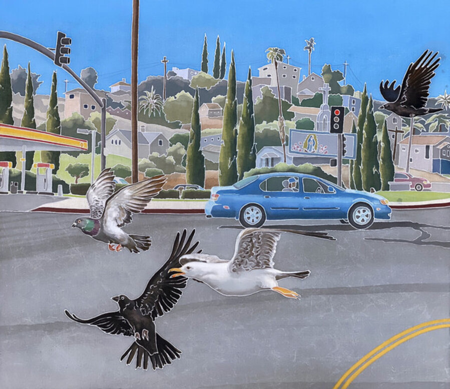 Common Birds