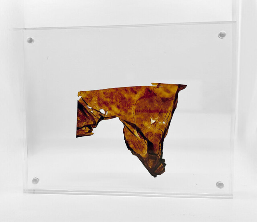 Study for De Piel a Piel #3