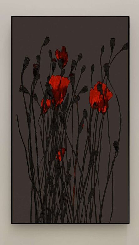 Michal Rovner, ‘Pragim (Poppies) 2’, 2023