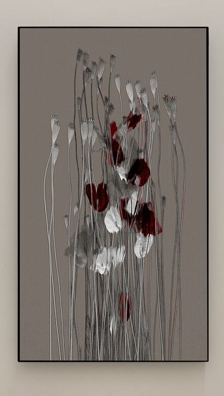 Michal Rovner, ‘Pragim (Poppies) 1’, 2023