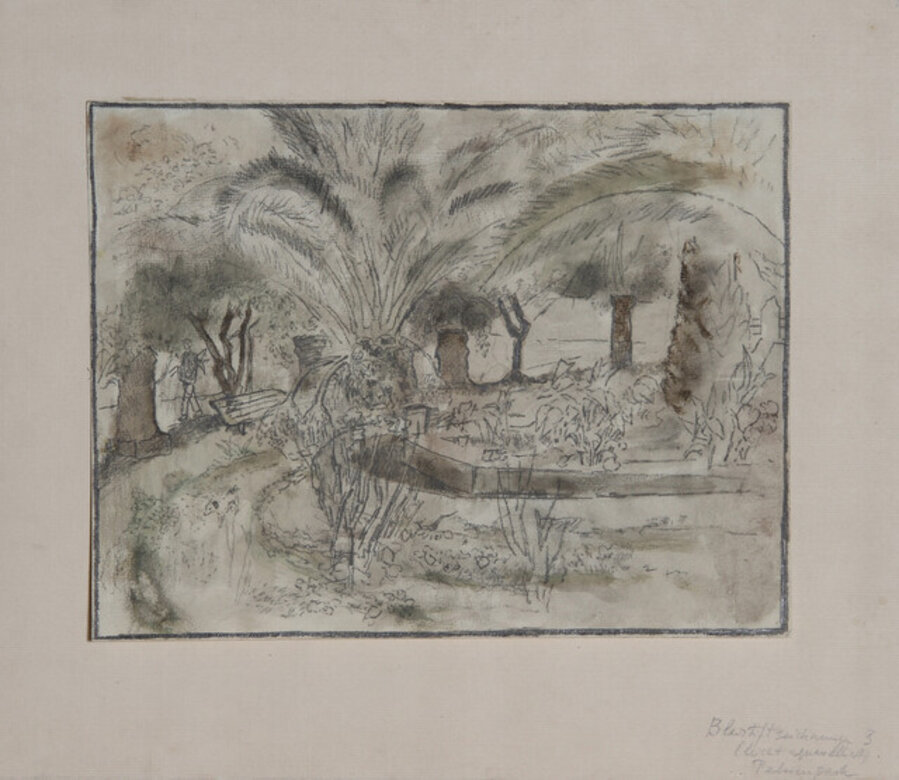 Park with Palms