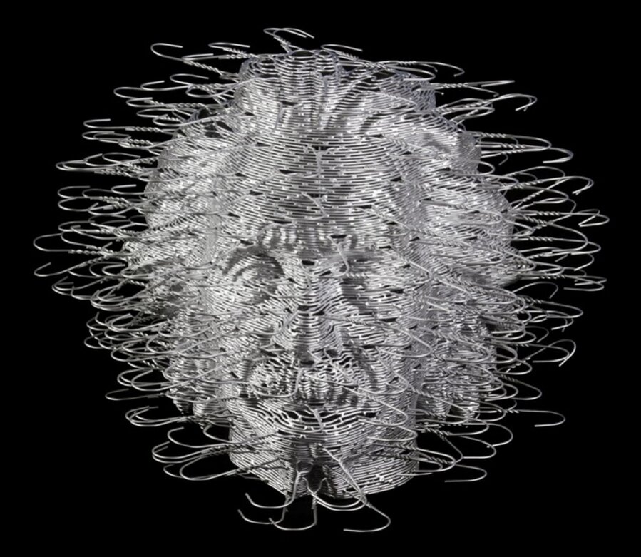 Einstein Head