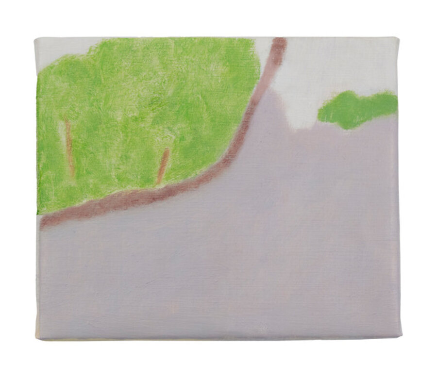 Trees in a Window