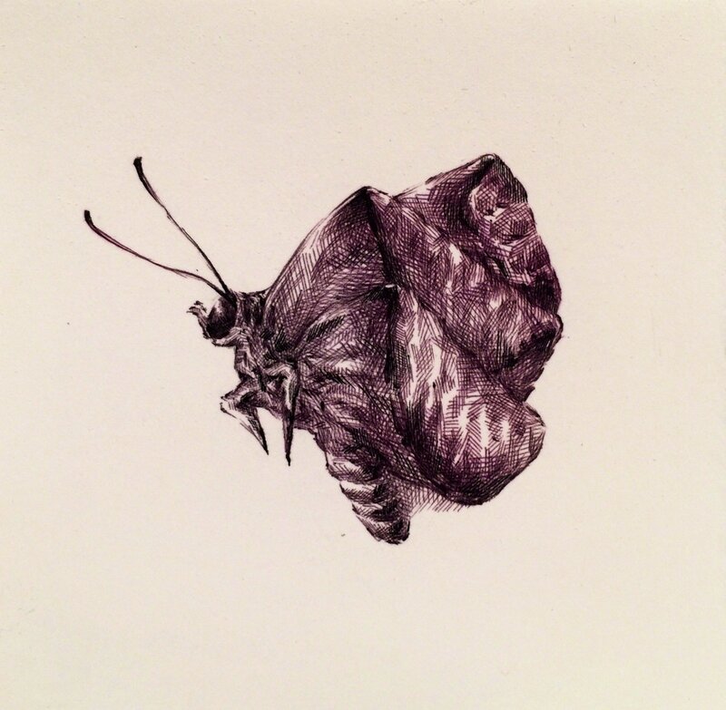 Joo Lee Kang, ‘Insects #3’, 2014, Drawing, Collage or other Work on Paper, Ballpoint pen on paper, Gallery NAGA
