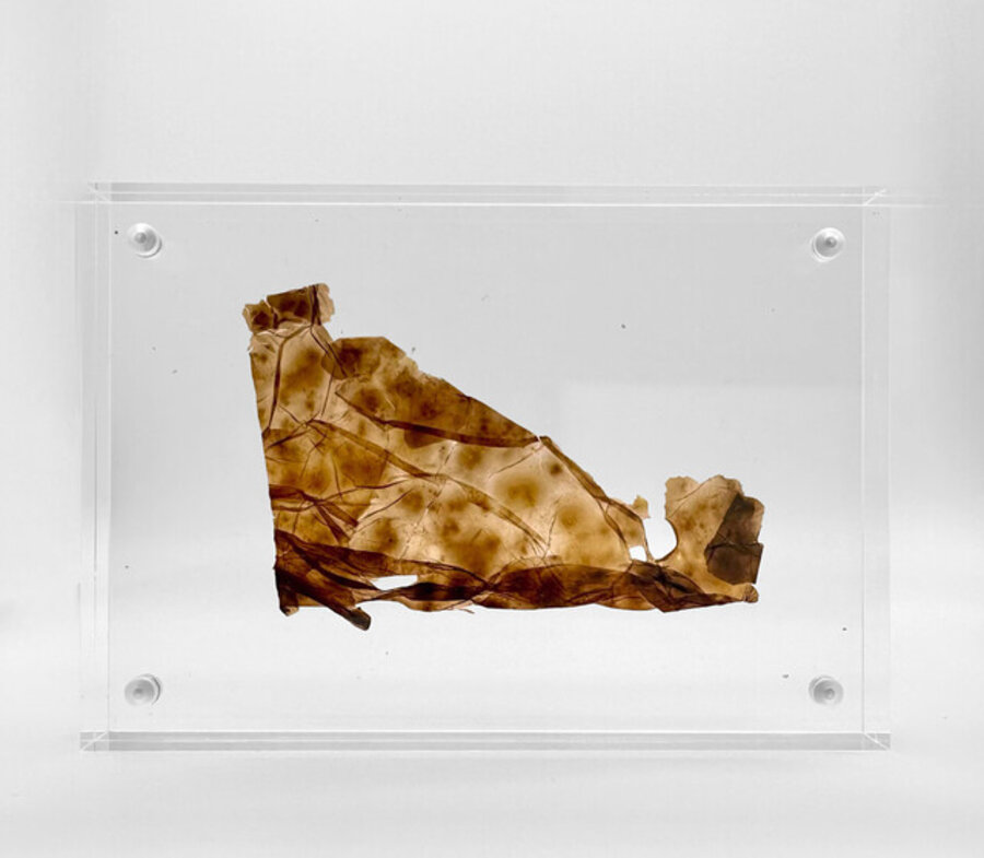 Study for De Piel a Piel #2