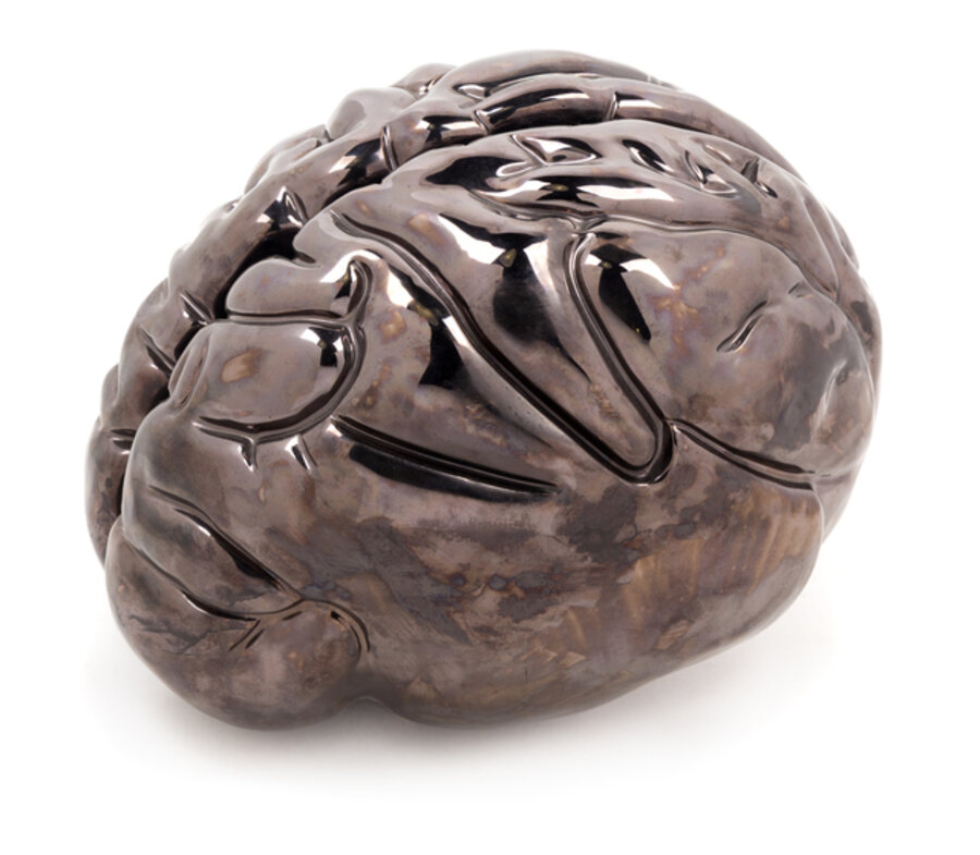 Brain