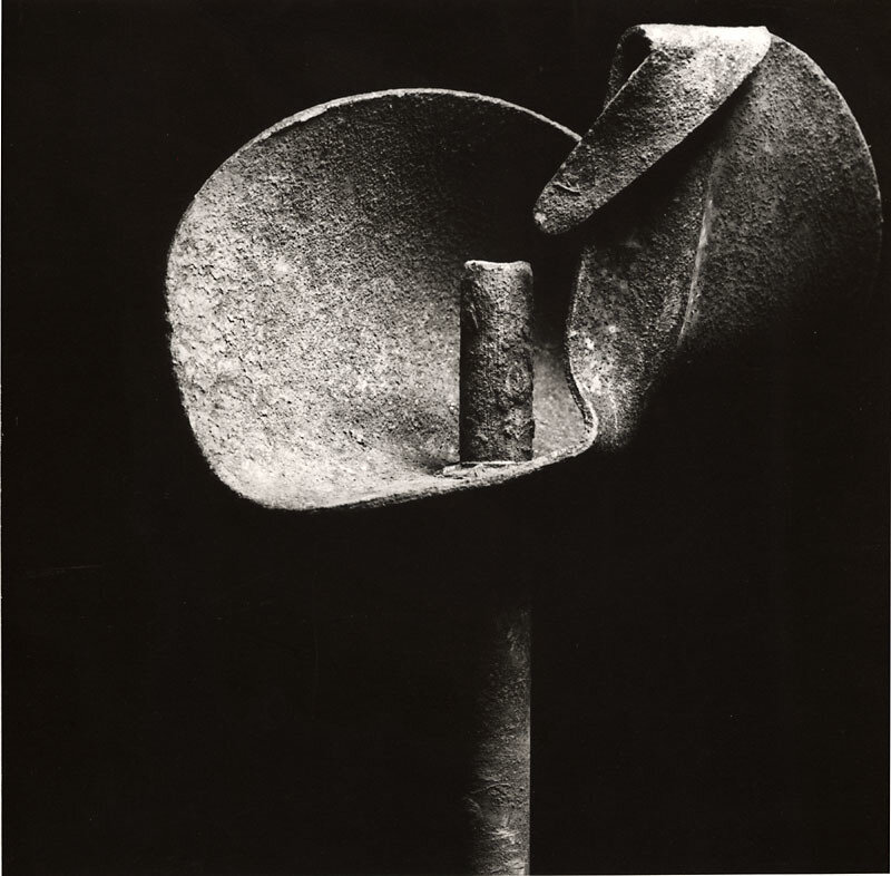 Ladislav Postupa, ‘Flower’, 1979/1979, Photography, Silver print unmounted, Contemporary Works/Vintage Works