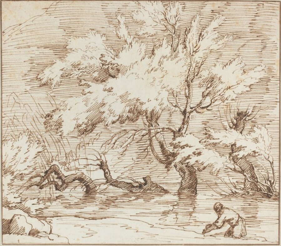 Trees Reflected in a Brook