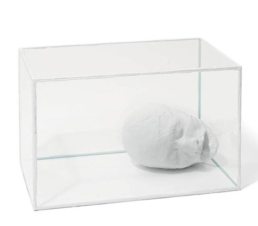 Untitled (Whitehead)
