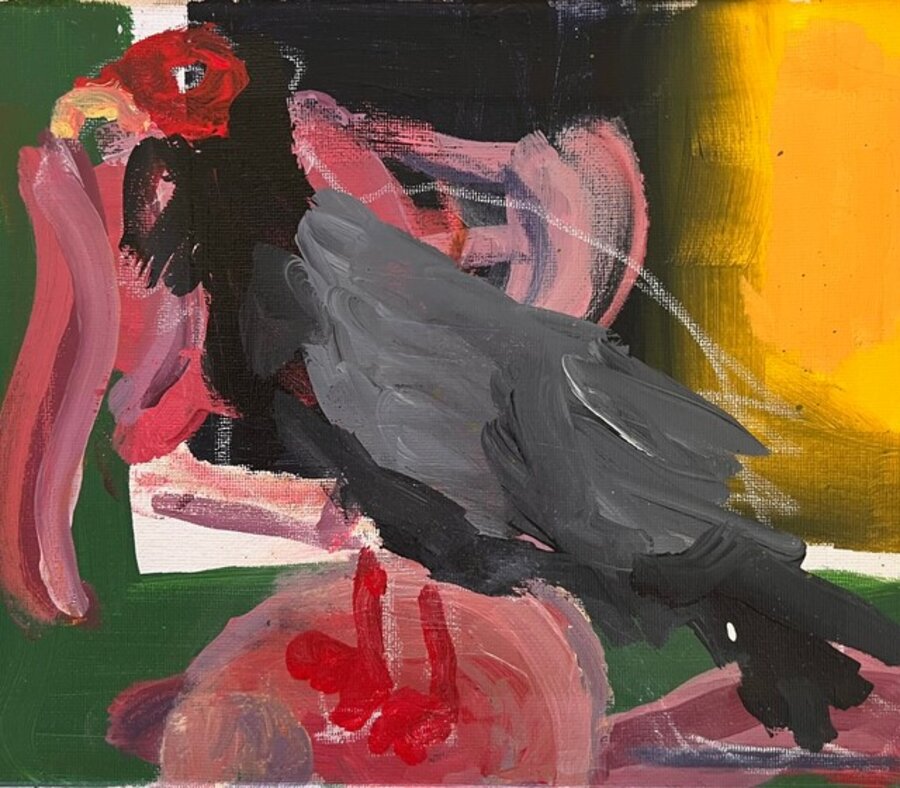 Yellow Window (Vulture)