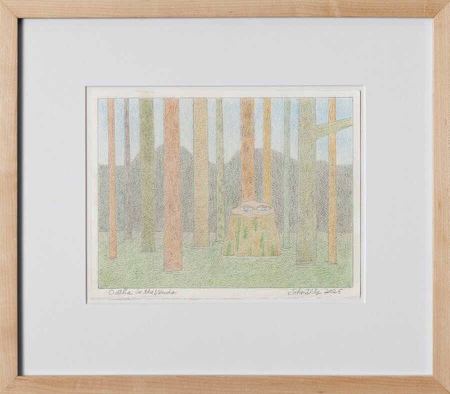 Odilia in the Woods