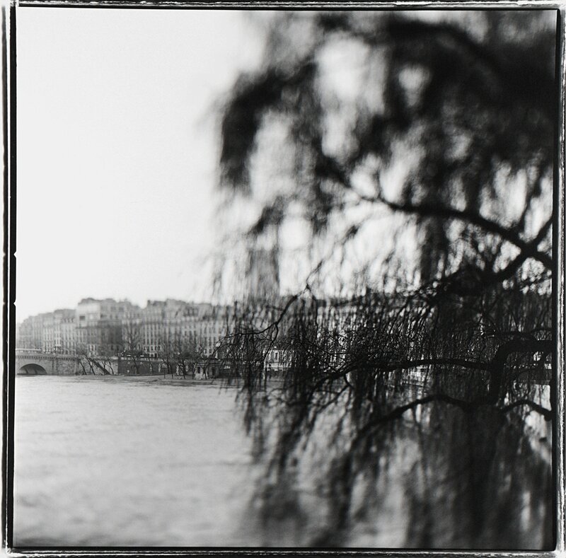 Keith Carter, ‘Oldest tree in Paris’, 1999, Photography, Vintage gelatin silver print, Finarte