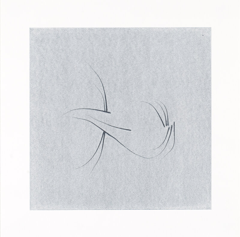 Nina Katchadourian, ‘Whisker Print (4B)’, 2013, Print, Cat whisker stencil monotype, Island Press