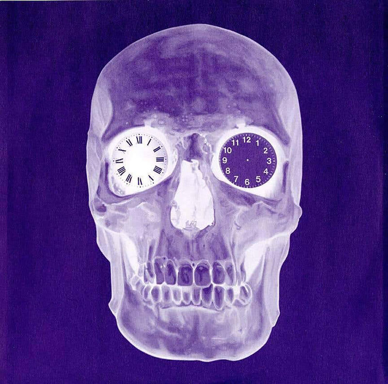 Damien Hirst, ‘Damien Hirst Skull Album Cover Art’, 2009 , Mixed Media, Offset lithograph on record album sleeve, Lot 180 Gallery