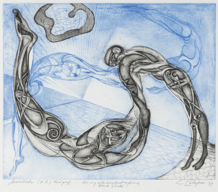 Aerialists