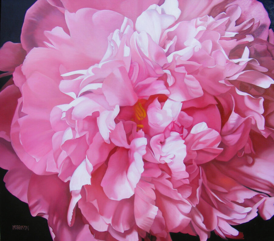 Peony