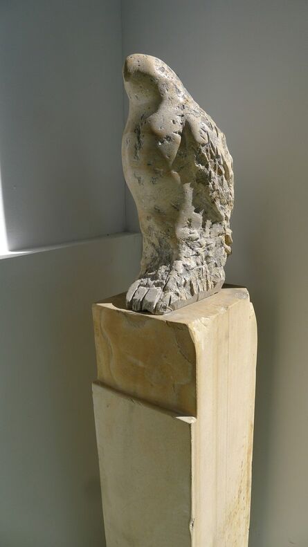 Jane Rosen, ‘Hawk Owl’, 2008