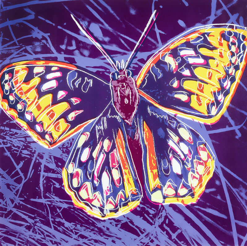 Andy Warhol, ‘San Francisco Silverspot Butterfly, from Endangered Species’, 1983, Print, Screen print in colours on Lenox Museum Board, Tate Ward Auctions
