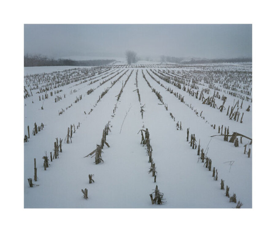 The Stubble Field, Québec, 2012