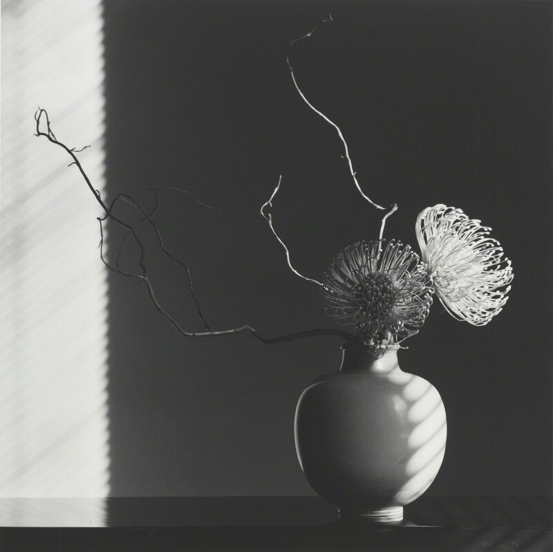 Robert Mapplethorpe, ‘Flower Arrangement’, 1986, Photography, Gelatin silver print, J. Paul Getty Museum