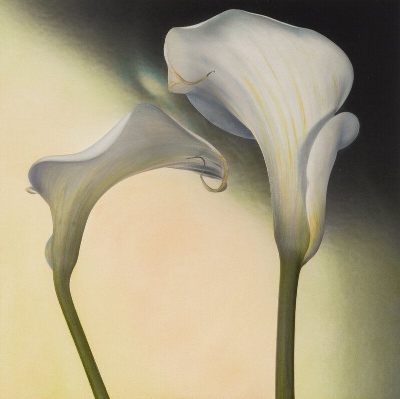 Brigitte Carnochan, ‘Calla Lily III’, 1996, Photography, Hand-colored gelatin silver, Heritage Auctions