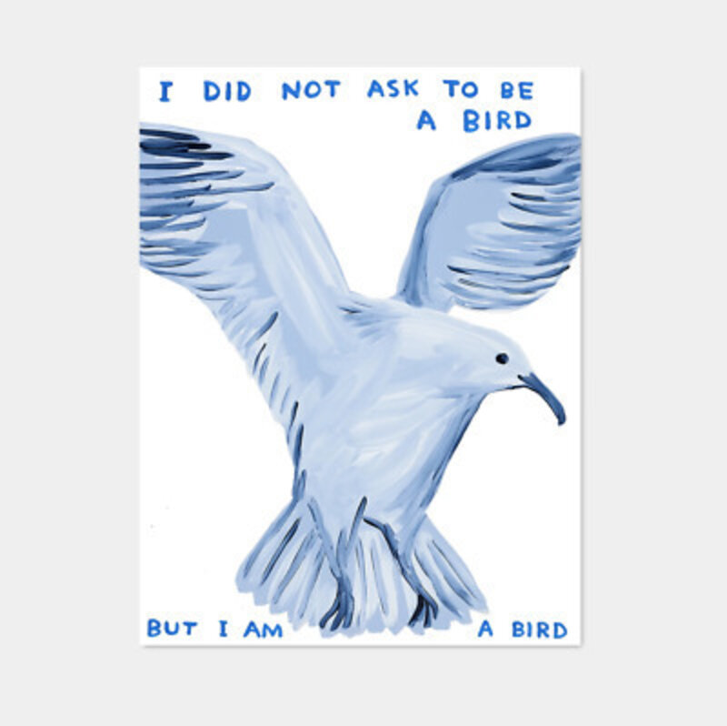 David Shrigley, ‘I Did Not Ask To Be A Bird’, 2020, Posters, Printed on 200g Munken Lynx paper, 3 White Dots