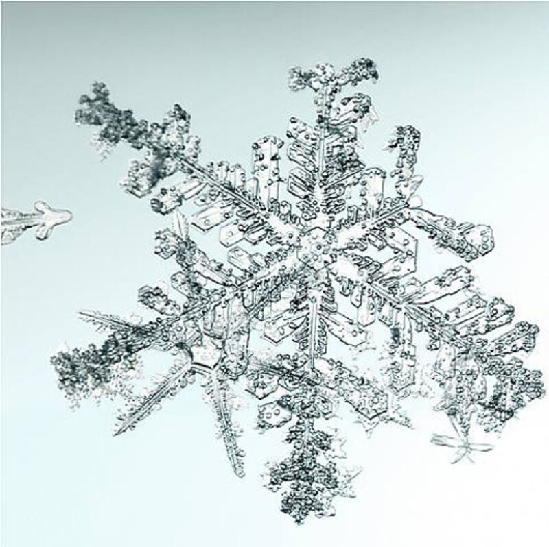 Doug & Mike Starn, ‘Untitled (Snowflake)’, 2006, Photography, Pigment print on Crane Museo paper, Kenneth A. Friedman & Co.