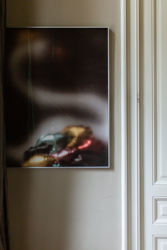 Frederik Vercruysse, ‘Swan’, 2020, Photography, Inkjet print on fine art rag paper mounted on dibond with anti-reflective art glass 70% UV resistant in aluminium frame, Spazio Nobile