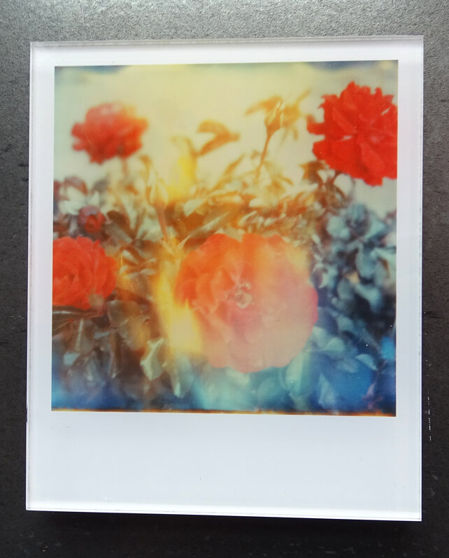 Stefanie Schneider, ‘Stefanie Schneider's Minis 'One Day I'll Leave' part I (The Girl behind the White Picket Fence)’, 2013, Photography, Lambda digital Color Photographs based on a Polaroid, sandwiched in between Plexiglass, Instantdreams