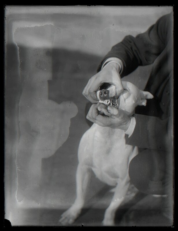 William van der Weyde, ‘Dog Training’, 1871-1929, Photography, Archival Pigment Print, Aperture