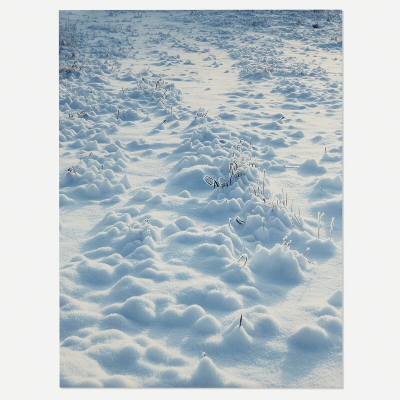 Torbjørn Rødland, ‘White Field’, 1999, Photography, C-print mounted on aluminum, Rago/Wright/LAMA/Toomey & Co.
