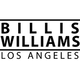 Billis Williams Gallery