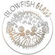Blowfish Glass Gallery