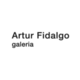 Artur Fidalgo Galeria