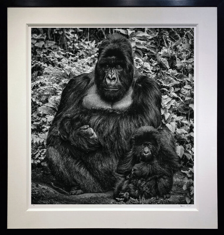 David Yarrow, ‘Like Father Like Son ’, 2020, Photography, Archival Pigment Print, Samuel Lynne Galleries