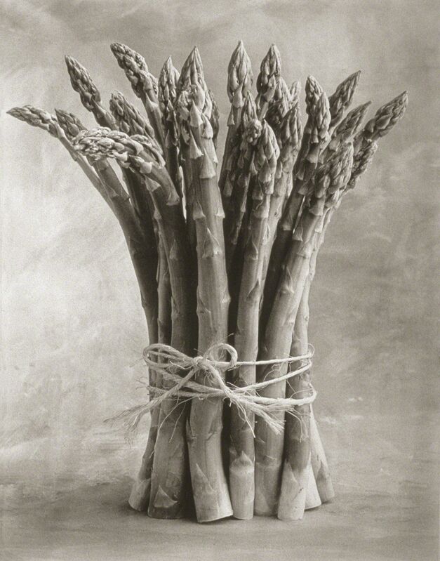 Cy DeCosse, ‘Asparagus’, Photography, Platinum Palladium, Gallery 270