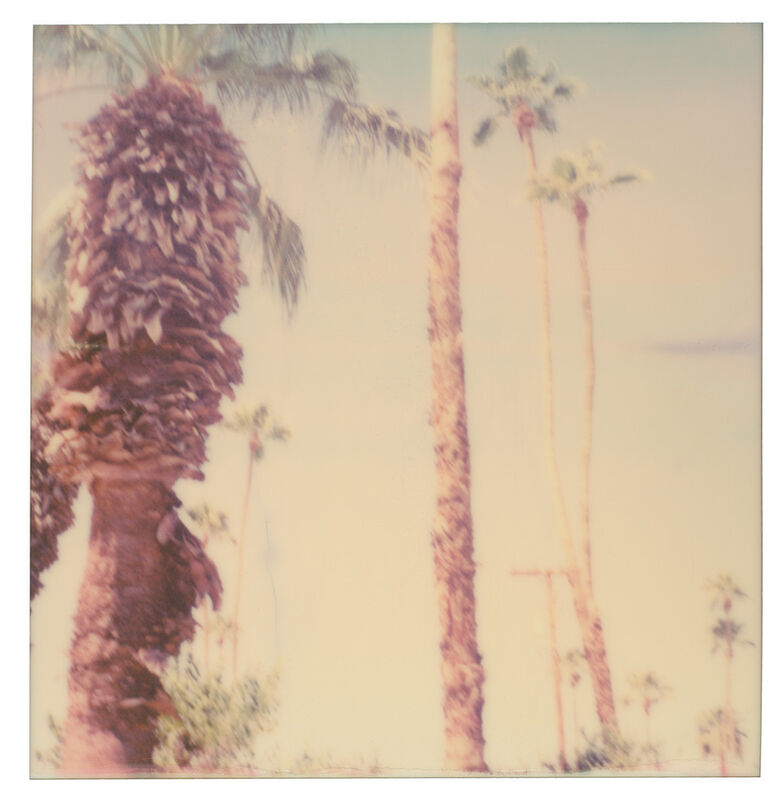 Stefanie Schneider, ‘Palm Springs Palm Trees VI’, 2019, Photography, Digital C-Print, based on a Polaroid, Instantdreams
