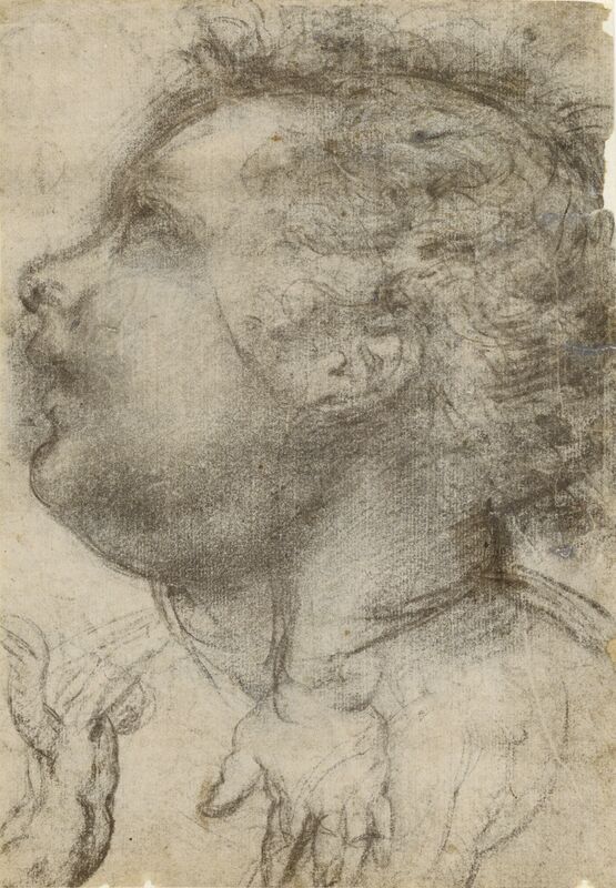 Baccio della Porta, called Fra Bartolommeo, ‘Head of a Child, an Angel and a Hand (recto), Male Figure (verso)’, 1510-1515, Black and white chalk, J. Paul Getty Museum