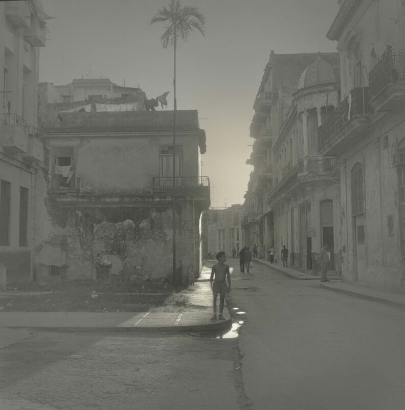 Alexey Titarenko, ‘Palm Tree, Havana’, 2003, Photography, Gelatin silver print, Nailya Alexander Gallery
