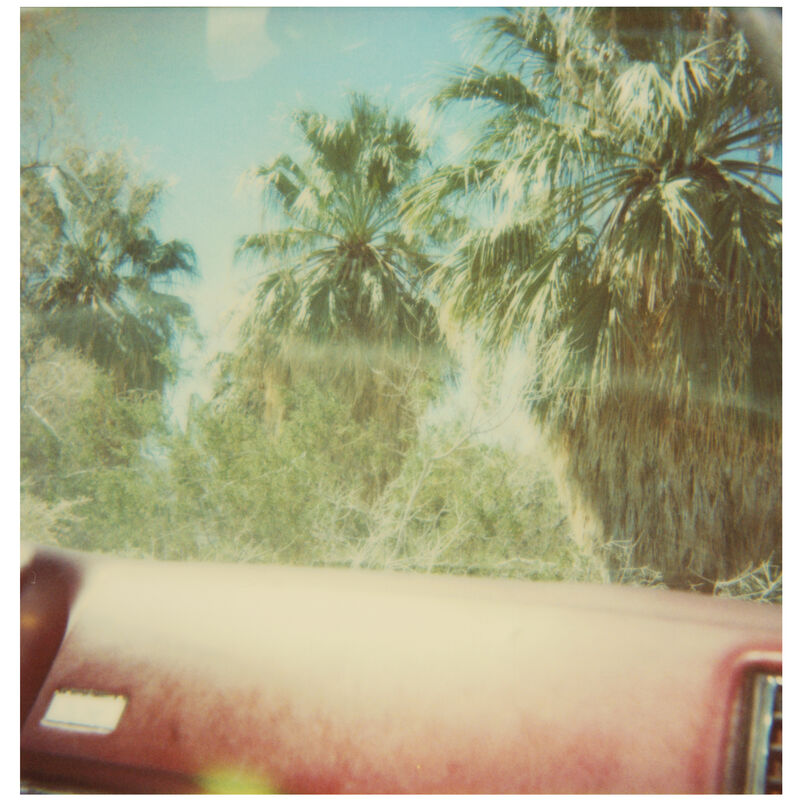 Stefanie Schneider, ‘Dashboard Palm Trees (Sidewinder)’, 2005, Photography, Digital C-Print, based on a Polaroid, not mounted, Instantdreams