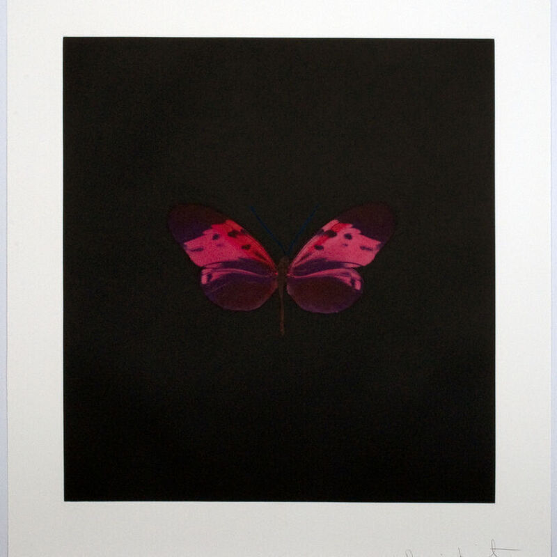 Damien Hirst, ‘Damien Hirst, Memento Mori | Portfolio’, 2008, Print, Etching on paper, Oliver Cole Gallery