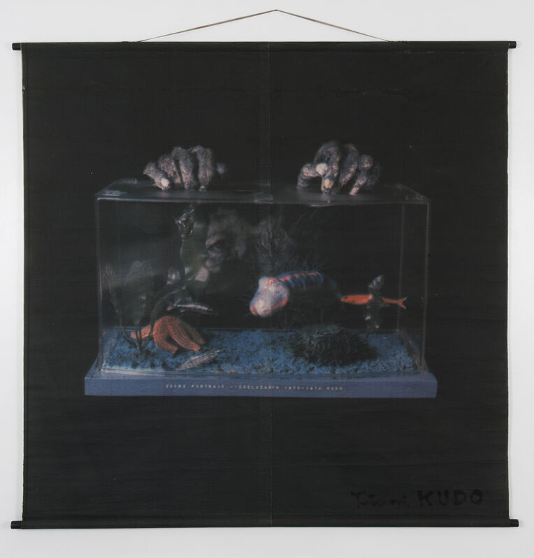 Tetsumi Kudo, ‘Votre portrait - Coelacanth (Translation painting by computer)’, 1970-1974, Photography, Scanachrome on canvas, Galerie Christophe Gaillard